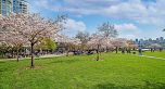 13B 199 DRAKE STREET, Vancouver BC V6Z 2T9