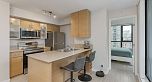 1104 928 HOMER STREET, Vancouver BC V6B 1T7