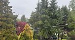 4309 Locarno Crescent