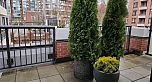 973 MAINLAND STREET, Vancouver BC V6B 1T2
