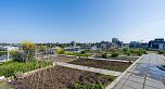 917 180 E 2ND AVENUE, Vancouver BC V5T 0K4
