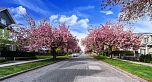 8117 SHAUGHNESSY STREET, Vancouver BC V6P 3X9