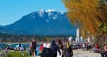 310 2033 W 7TH AVENUE, Vancouver BC V6J 1T3