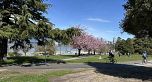 103 2040 CORNWALL AVENUE, Vancouver BC V6J 1E1