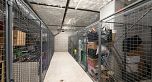 508 66 W CORDOVA STREET, Vancouver BC V6B 0L2