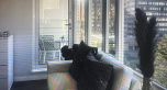1009 161 W GEORGIA STREET, Vancouver BC V6B 0K9