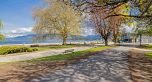207 1424 WALNUT STREET, Vancouver BC V6J 3R3