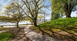 304 1040 PACIFIC STREET, Vancouver BC V6E 4C1