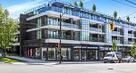 310 3596 W 28TH AVENUE, Vancouver BC V6S 2G5