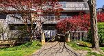 201 2023 FRANKLIN STREET, Vancouver BC V5L 1R4