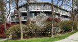 201 2023 FRANKLIN STREET, Vancouver BC V5L 1R4