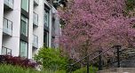 603 1571 W 57TH AVENUE, Vancouver BC V6P 0H7