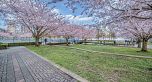2802 1483 HOMER STREET, Vancouver BC V6Z 3C7