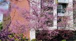 603 1571 W 57TH AVENUE, Vancouver BC V6P 0H7