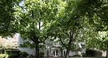 204 1147 NELSON STREET, Vancouver BC V6G 1J3
