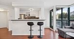 505 907 BEACH AVENUE, Vancouver BC V6Z 2R3