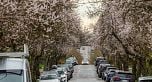 828 E 13TH AVENUE, Vancouver BC V5T 2L5