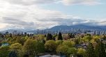 201 3333 MAIN STREET, Vancouver BC V5V 3M8