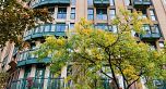 507 22 E Cordova Street