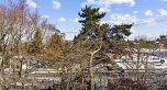 303 2222 PRINCE EDWARD STREET, Vancouver BC V5T 4M6