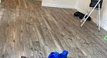 6 1019 GILFORD STREET, Vancouver BC V6G 2P1