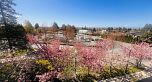 1487 W 59TH AVENUE, Vancouver BC V6P 0G1