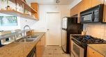 2607 1495 RICHARDS STREET, Vancouver BC V6Z 3E4