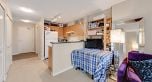 1503 1295 RICHARDS STREET, Vancouver BC V6B 1B7
