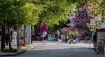 201 1535 NELSON STREET, Vancouver BC V6G 1M2