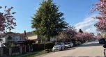 8491 Cartier Street