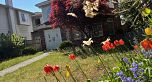 8491 Cartier Street