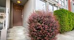917 Station Street