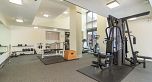 302 212 DAVIE STREET, Vancouver BC V6B 5Z4