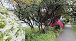 7708 Heather Street