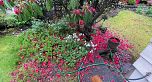 5855 Willow Street