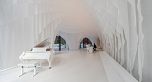 2808 1033 Nelson Street