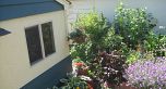 936 W 37th Avenue