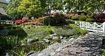 230 Waterleigh Drive