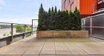 263 955 E Hastings Street