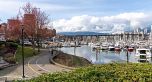 107 1502 Island Park Walk