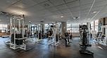 290X 1331 ALBERNI STREET, Vancouver BC V6E 4S1