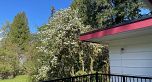 1751 W King Edward Avenue