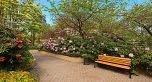 408 1470 Pennyfarthing Drive