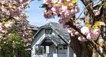 3841 W 24th Avenue