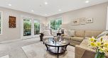 1816 Collingwood Street