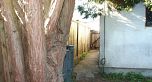 2511 Upland Drive