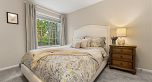 1816 Collingwood Street