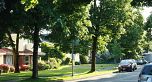 2511 Upland Drive