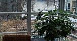 302 1228 Marinaside Crescent