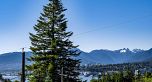 3439 Dundas Street